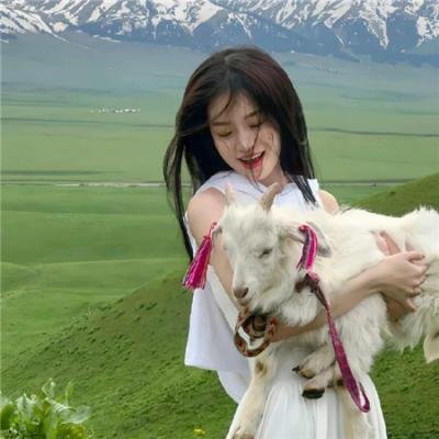 女神注意报！